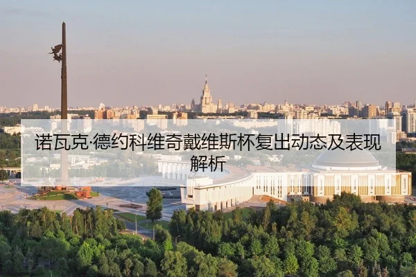 诺瓦克·德约科维奇戴维斯杯复出动态及表现解析
